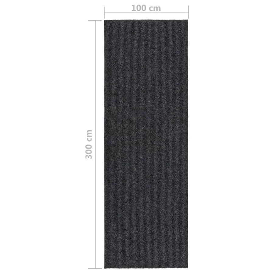 Droogloopmat Kleurig 100 x 300 cm Antraciet