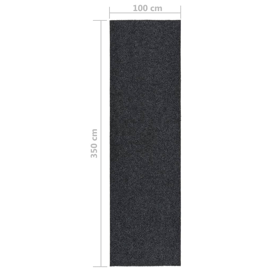 Droogloopmat Kleurig 100 x 350 cm Antraciet