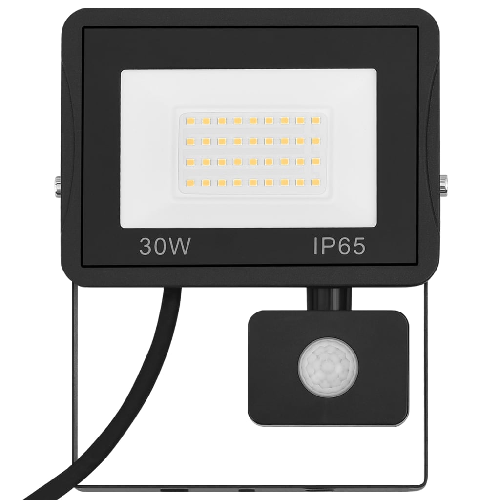 Spotlight Met Sensor Led 30 w Warmwit