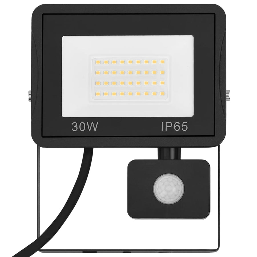 Spotlight Met Sensor Led 30 w Warmwit