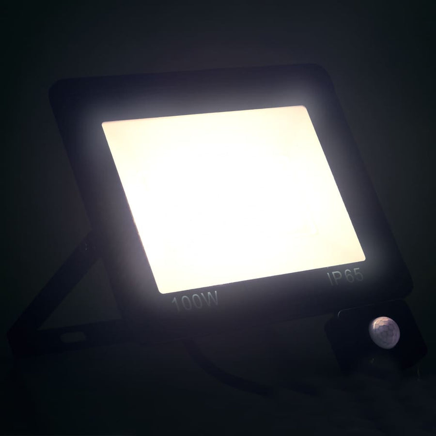 Spotlight Met Sensor Led 100 W Koudwit
