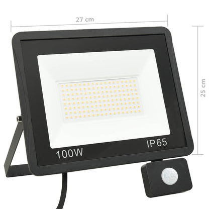 Spotlight Met Sensor Led 100 W Koudwit