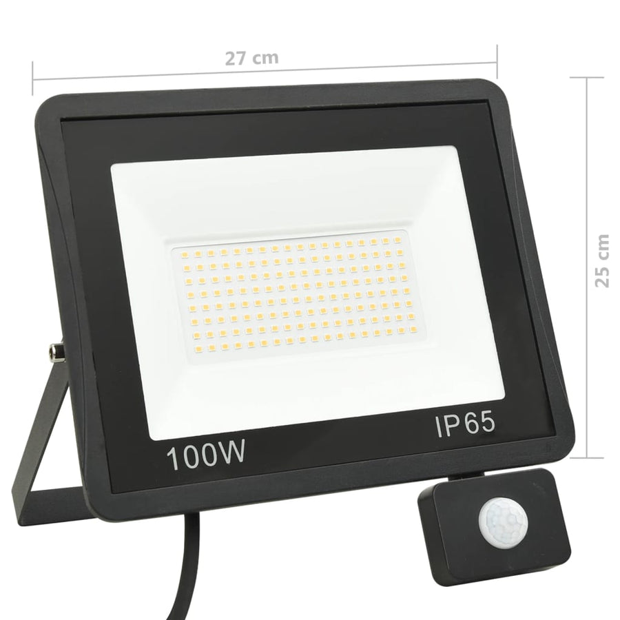 Spotlight Met Sensor Led 100 W Koudwit