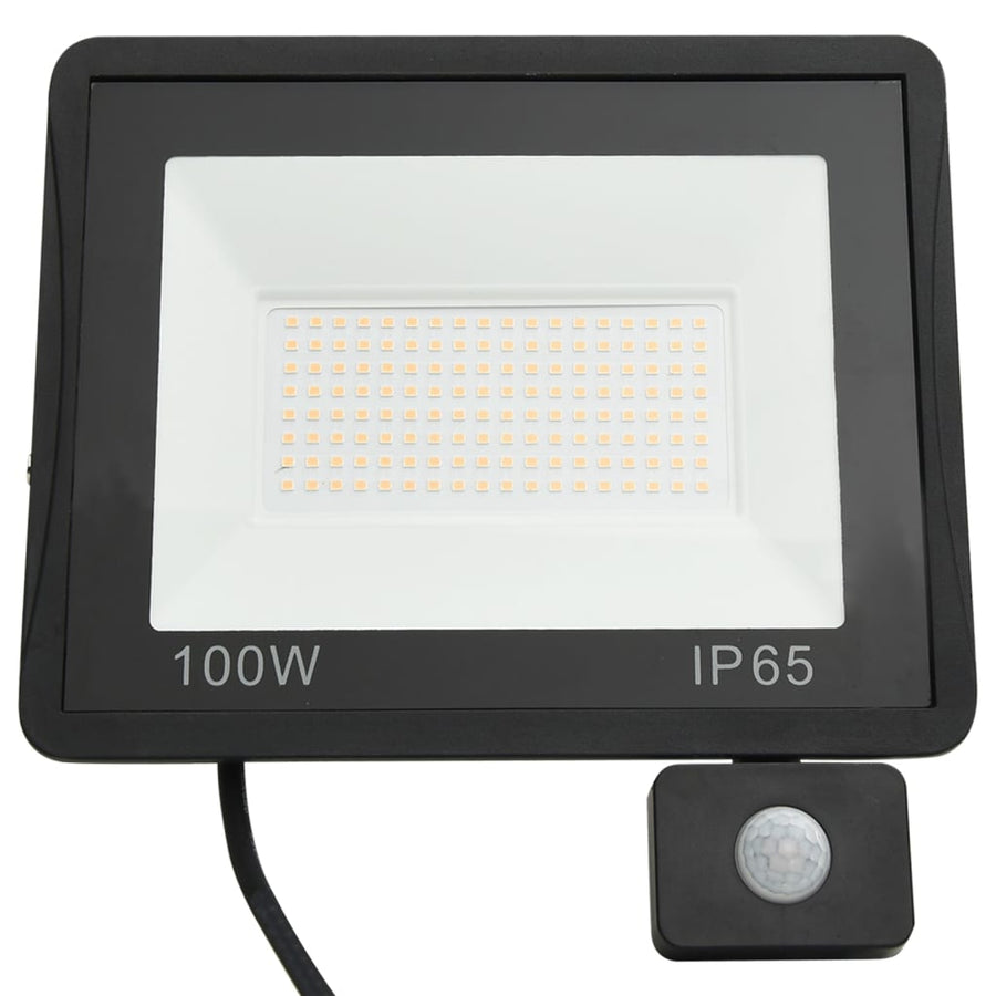 Spotlight Met Sensor Led 100 W Koudwit
