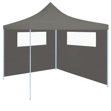 Prieelzijwand Met Ramen Kleurig 6 x 2 m