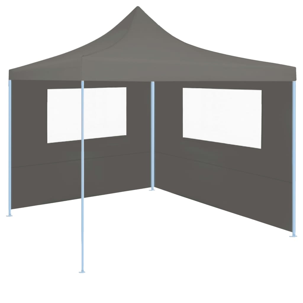 Prieelzijwand Met Ramen Kleurig 4 x 2 m Antraciet