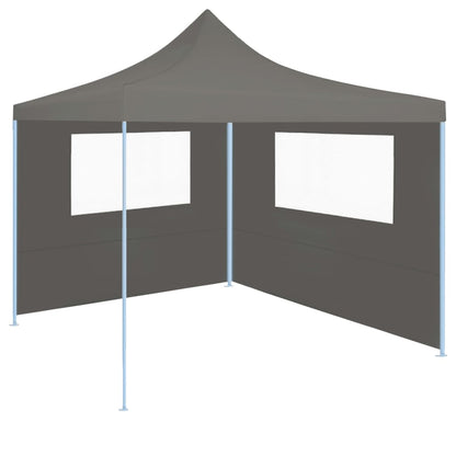 Prieelzijwand Met Ramen Kleurig 4 x 2 m Antraciet
