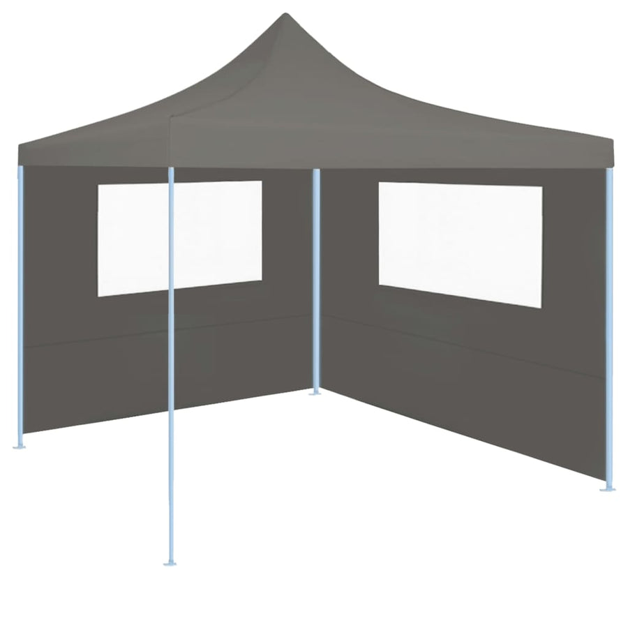Prieelzijwand Met Ramen Kleurig 4 x 2 m Antraciet
