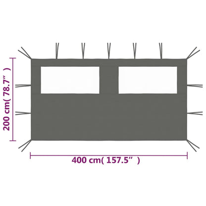 Prieelzijwand Met Ramen Kleurig 4 x 2 m Antraciet