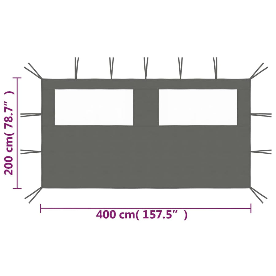 Prieelzijwand Met Ramen Kleurig 4 x 2 m Antraciet
