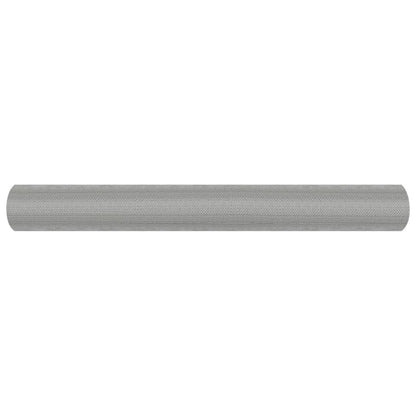 Gaas Roestvrij Staal Zilverkleurig 60 x 2000 cm