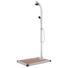 Outdoor shower with brown base 220 cm aluminum