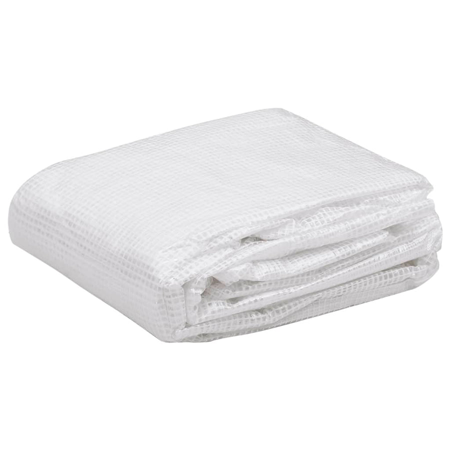 Kashoes Vervangend (4,5 M²) 3X1,5X2 M Transparant 300 x 150 x 200 m Doorzichtig