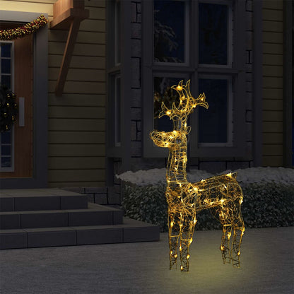 Kerstversiering Rendier 90 Led's 60X16X100 Cm Acryl