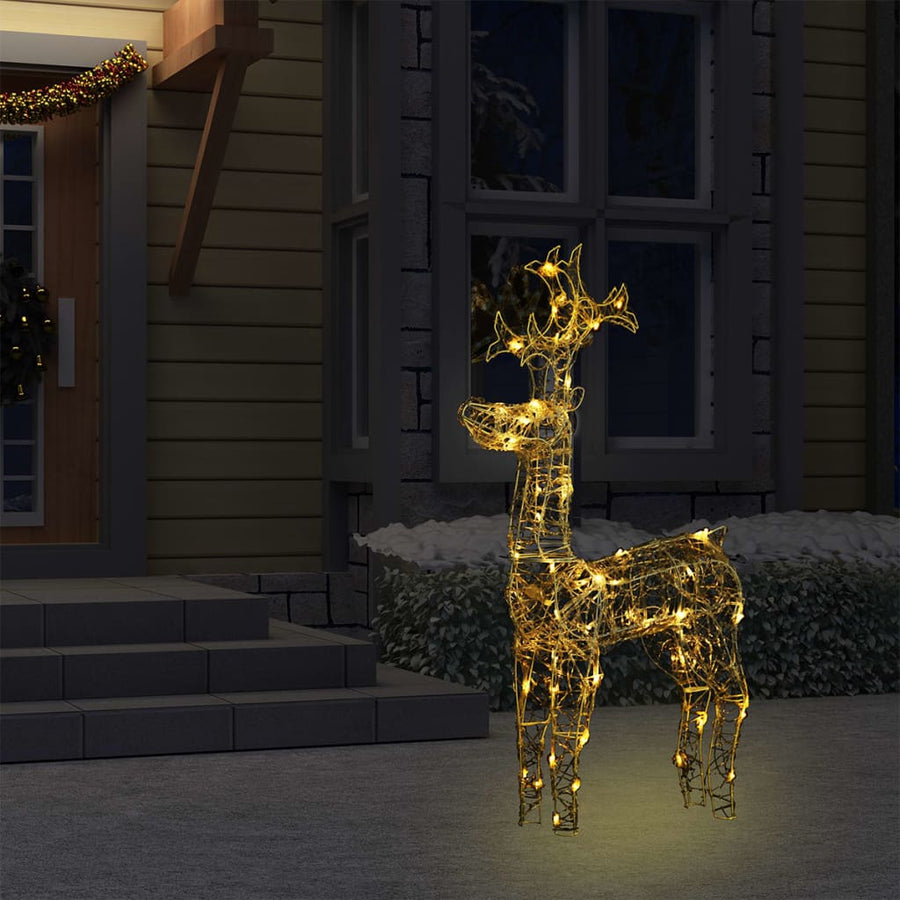 Kerstversiering Rendier 90 Led's 60X16X100 Cm Acryl