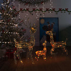 Kerstversiering Rendierfamilie 300 Led's Meerkleurig Acryl