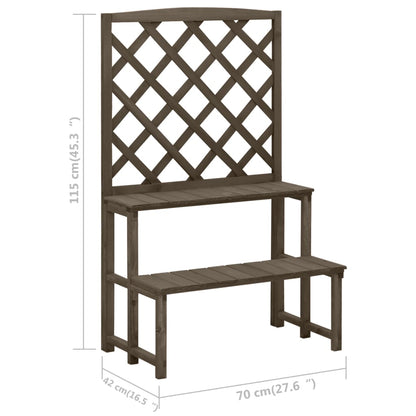 Plantenrek Met Latwerk 70X42X5 Cm Massief Vurenhout Grijs