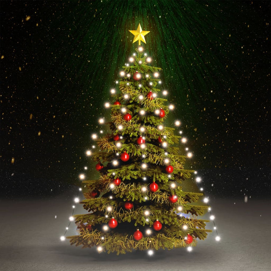 Kerstboomverlichting Met 20 Led's Net 210 cm Koudwit