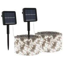 Lichtsnoeren Met X00 Led's Solar Binnen/Buiten 2 Koudwit
