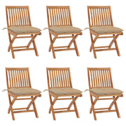 Tuinstoelen 6 stuks massief teakhout grijs inklapbaar