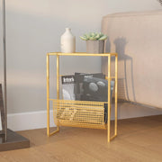 Tijdschriftenrek 35x15x45 cm staal goud