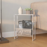 Tijdschriftenrek 35x15x45 cm staal zilver
