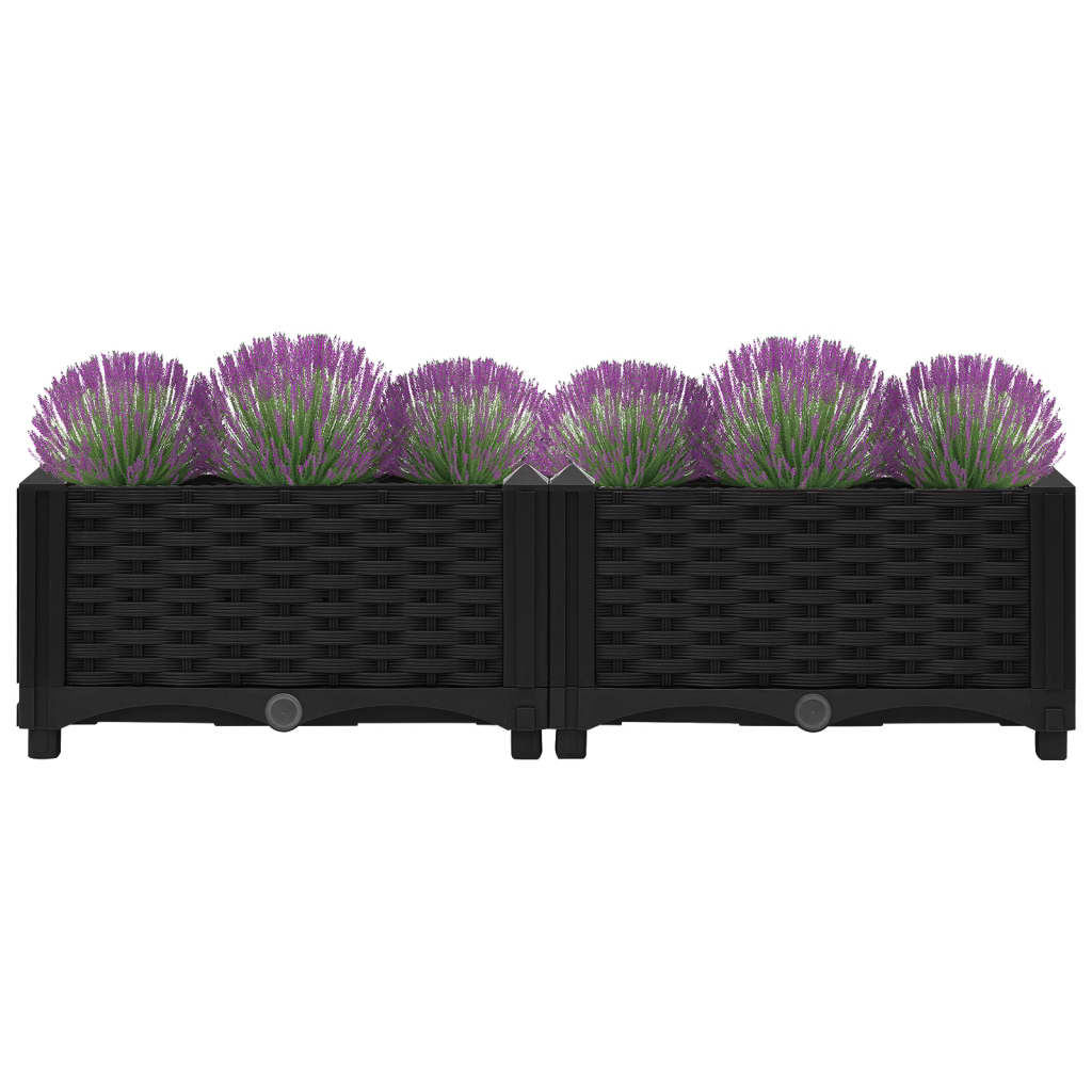 Plantenbak Verhoogd Polypropyleen 80 x 40 x 23 cm Zwart