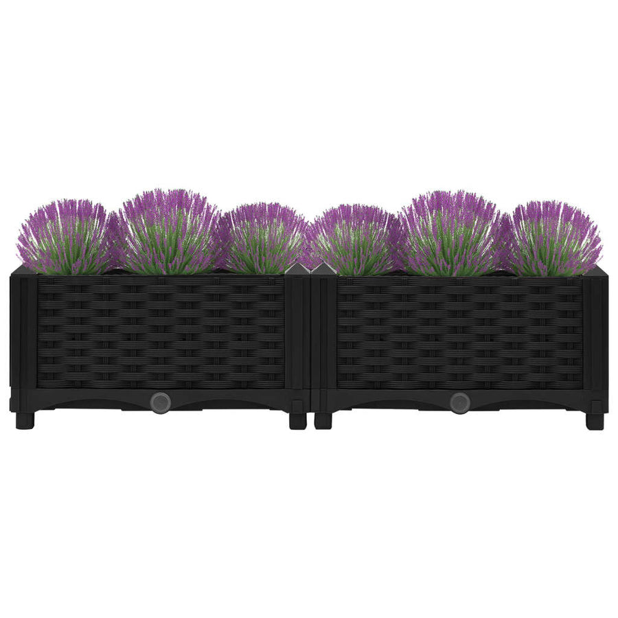 Plantenbak Verhoogd Polypropyleen 80 x 40 x 23 cm Zwart