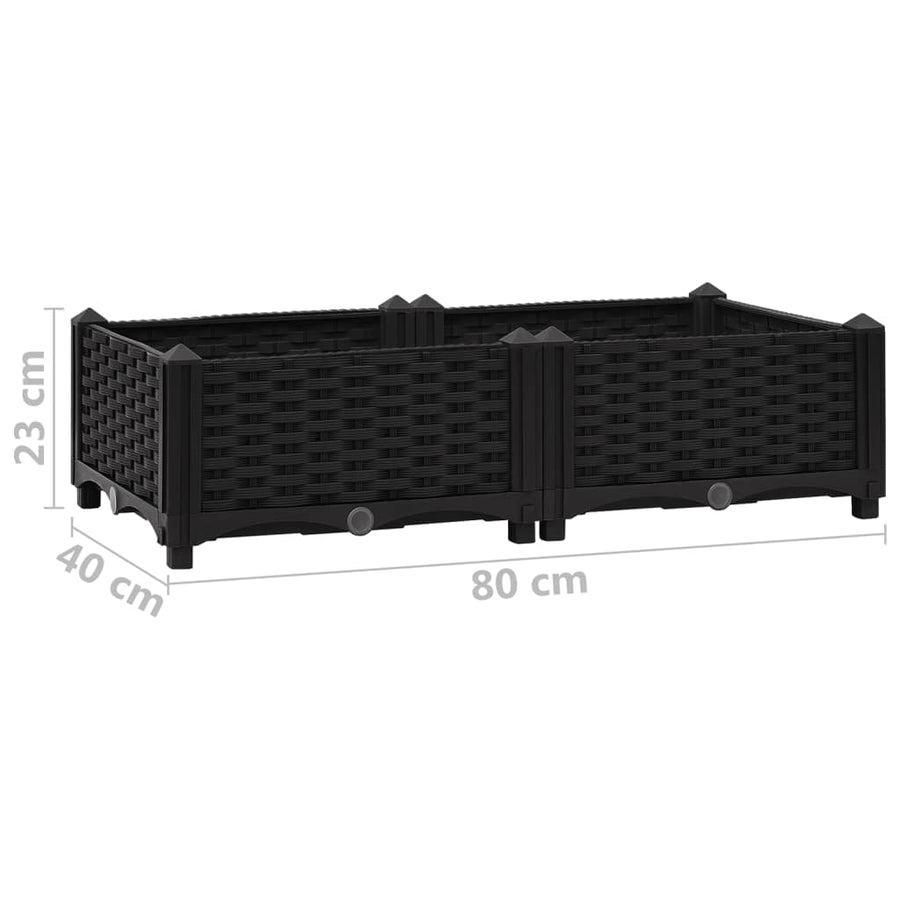 Plantenbak Verhoogd Polypropyleen 80 x 40 x 23 cm Zwart