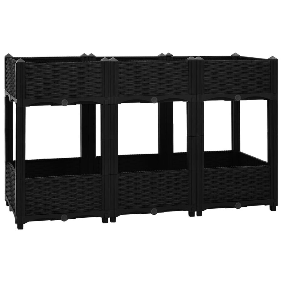 Plantenbak Verhoogd Polypropyleen 120 x 40 x 71 cm Zwart
