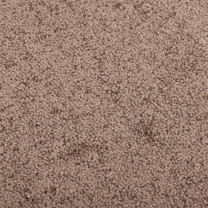 Deurmat 80 x 120 cm Bruin
