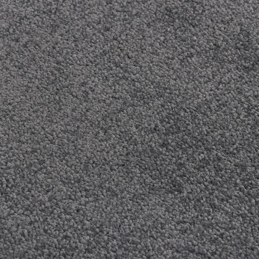 Deurmat Kleurig 40 x 60 cm Antraciet