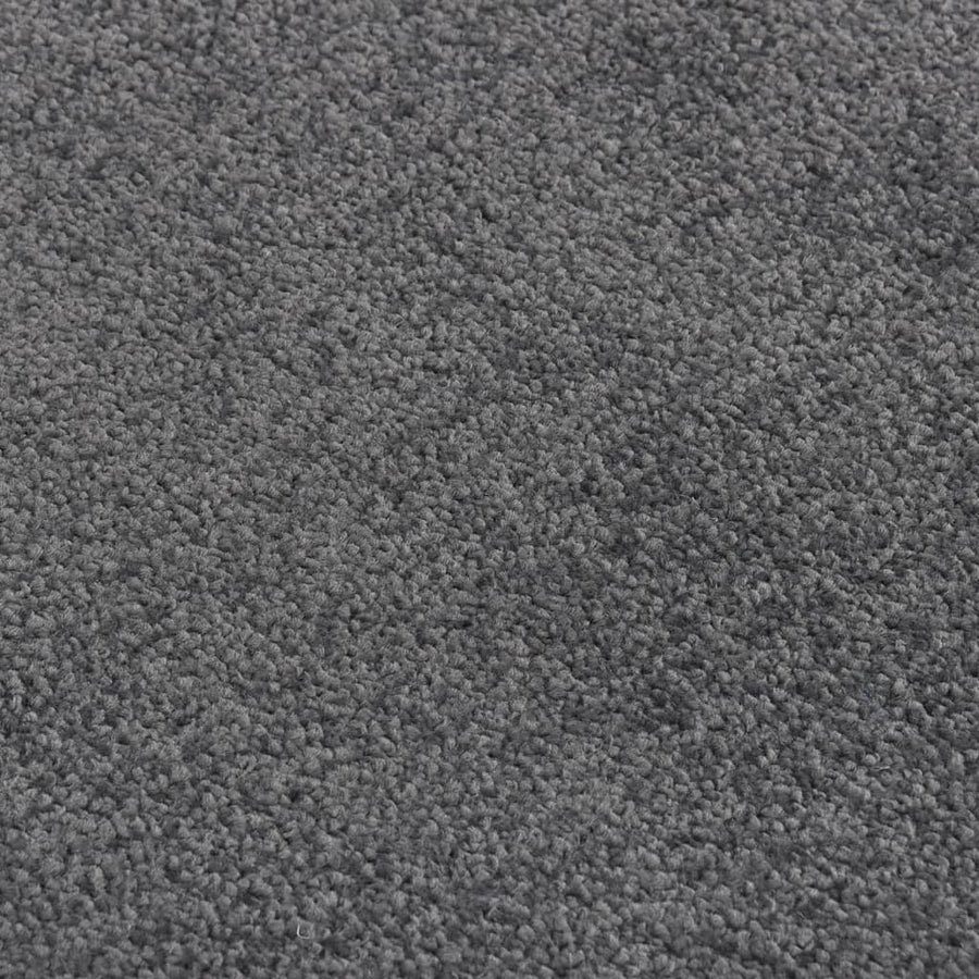 Deurmat Kleurig 60 x 80 cm Antraciet