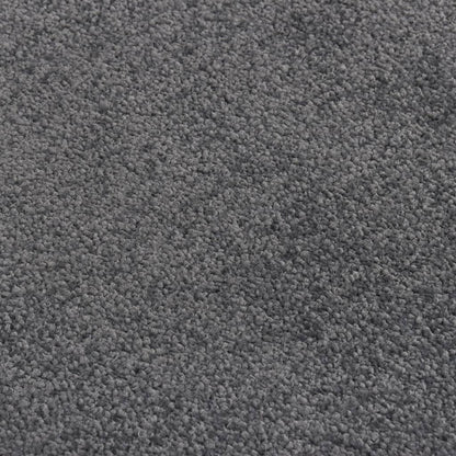 Deurmat Kleurig 80 x 120 cm Antraciet