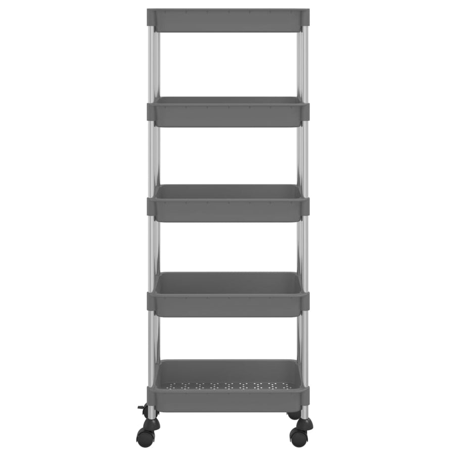 Keukentrolley 5-Laags 42X29X128 Cm Ijzer En Abs Grijs