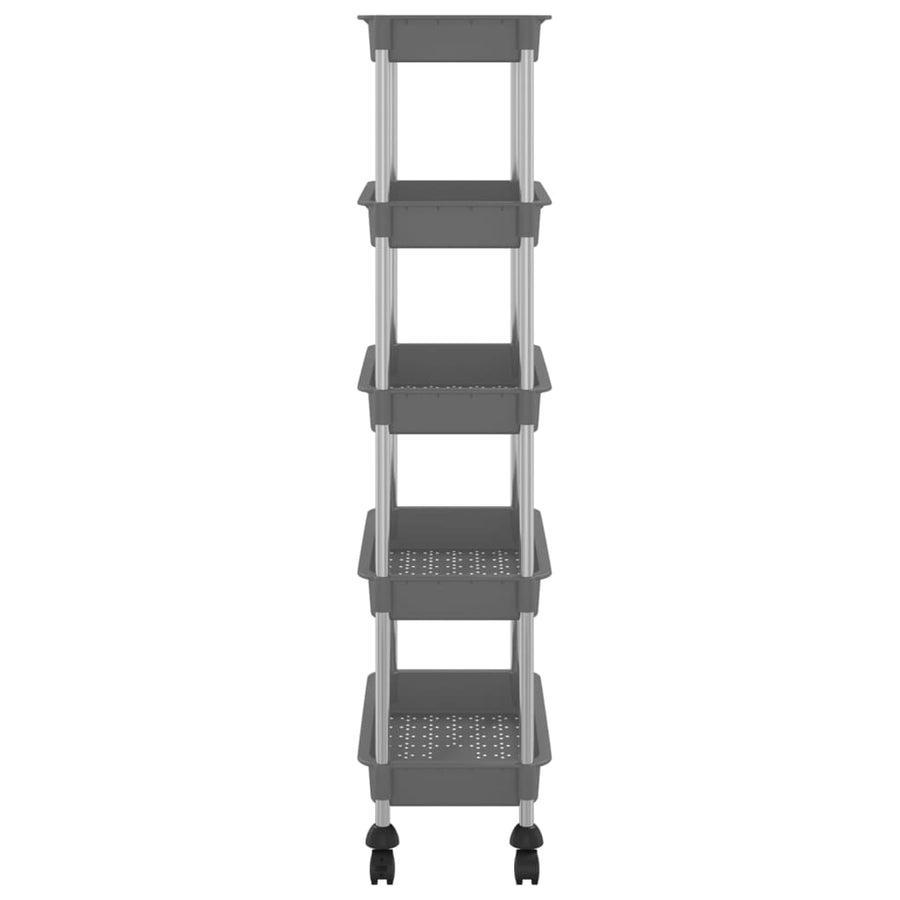 Keukentrolley 5-Laags 42X29X128 Cm Ijzer En Abs Grijs