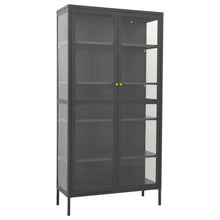 Vitrinekast 90X40X80 Cm Staal En Gehard Glas Kleurig Antraciet