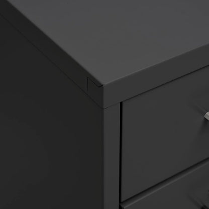 Ladeblok Verrijdbaar 28X4X09 Cm Metaal Kleurig Antraciet 8 lades