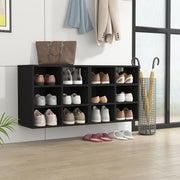 Schoenenkast 52,5x30x50 cm zwart (2 stuks)