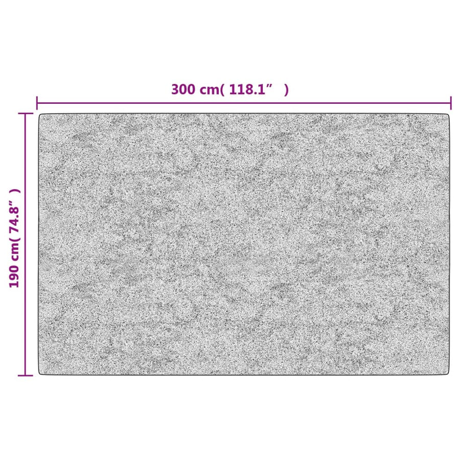 Vloerkleed Wasbaar Anti-Slip Licht Beige En Zwart 190 x 300 cm