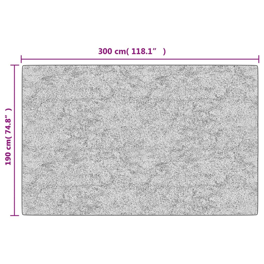 Vloerkleed Wasbaar Anti-Slip Kleurig Antraciet 190 x 300 cm