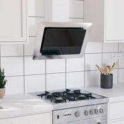 Wandafzuigkap 60 cm roestvrij staal glas