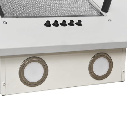 Wandafzuigkap 60 Cm Roestvrij Staal En Gehard Glas 60 x 31 x 108 cm Wit