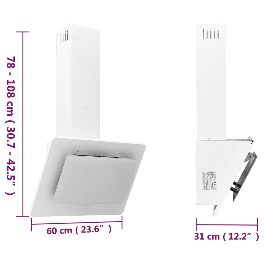 Wandafzuigkap 60 Cm Roestvrij Staal En Gehard Glas 60 x 31 x 108 cm Wit
