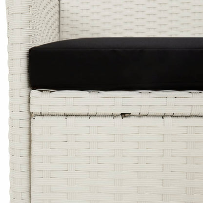 Tuinstoelen Met Kussens Poly Rattan 4