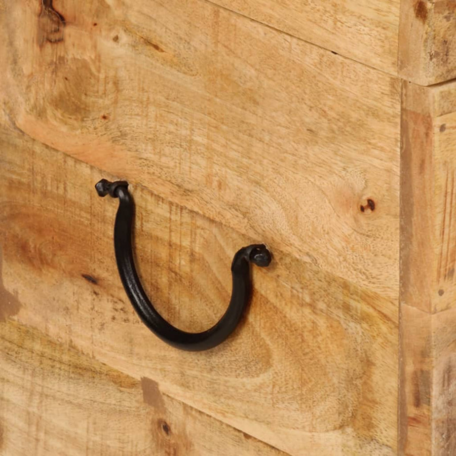 Opbergbox 39X28X31 Cm Massief Mangohout
