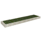 Gabion plantenbak 400x100x20 cm gegalvaniseerd staal