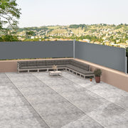 Retractable privacy screen 117x1200 cm anthracite