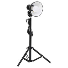 Fotostudiolampen 2 St Mini