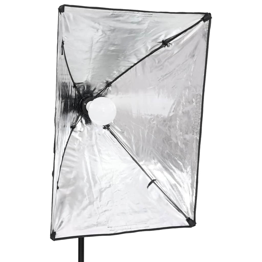 Studiolampen 2 St Professioneel 40X60 Cm